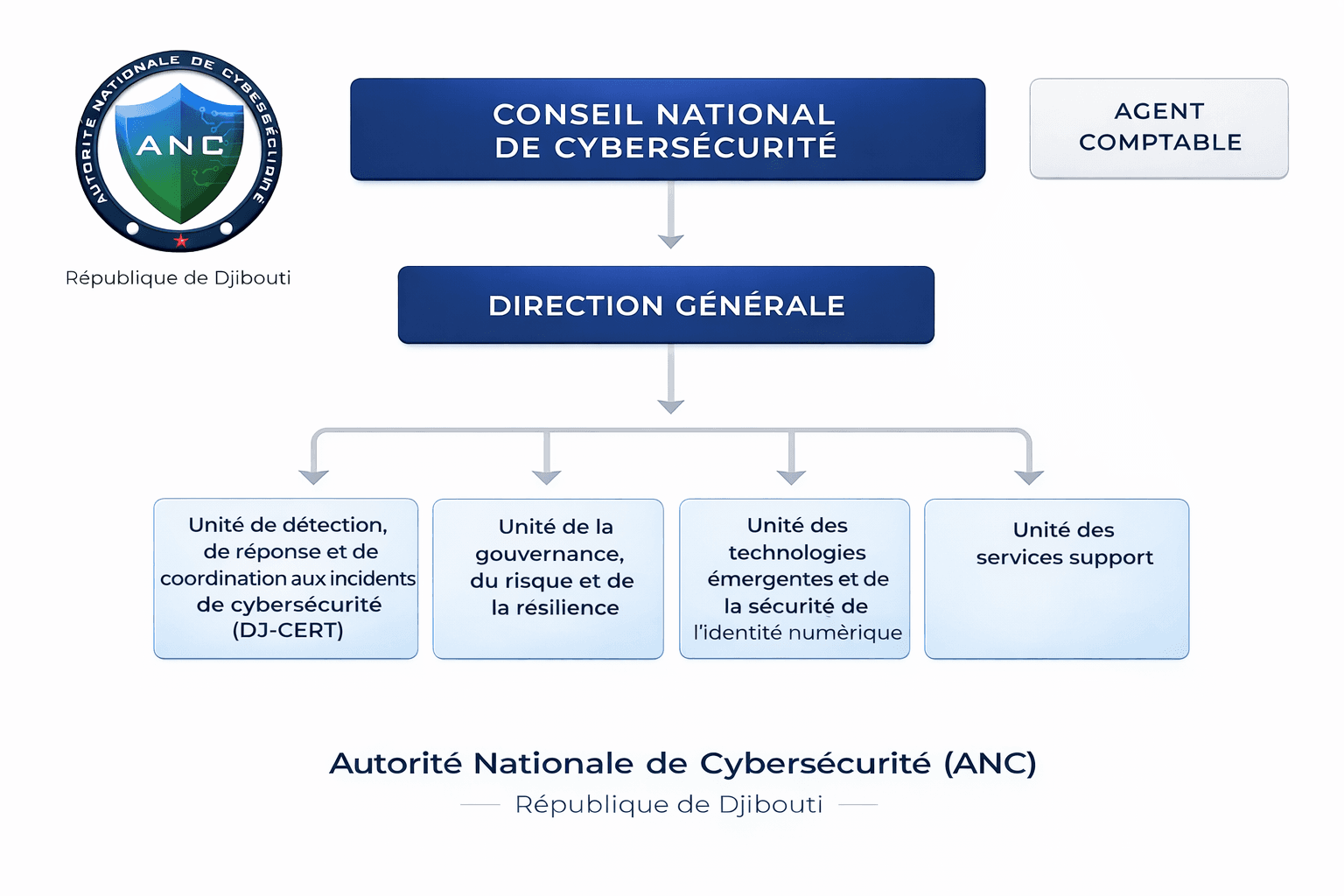 Organigramme de l'agence